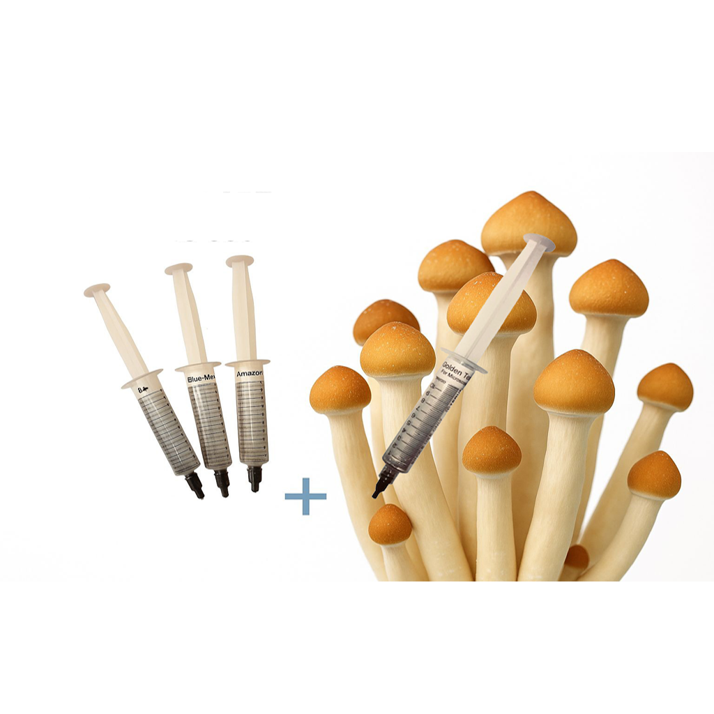 Buy Spore Syringes