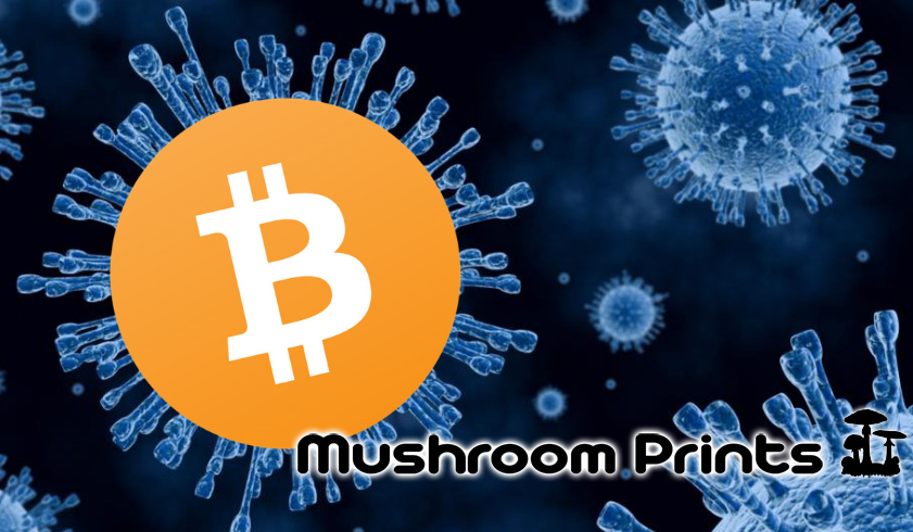 buy mushroom spores with bitcoin