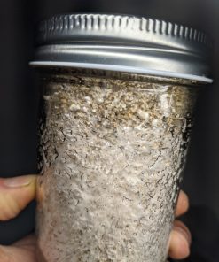 Pf tek mushroom spores