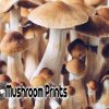 Tidal Wave Cubensis