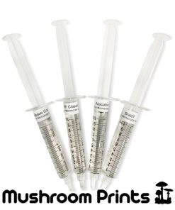 Mushroom spores for pf-tek
