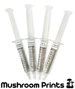 Most potent cubensis strains.