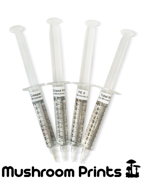 Most potent cubensis strains.