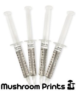 Thai cubensis strains