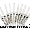Bulk spore syringe pack