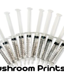 Bulk spore syringe pack