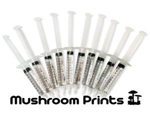 Bulk spore syringe pack