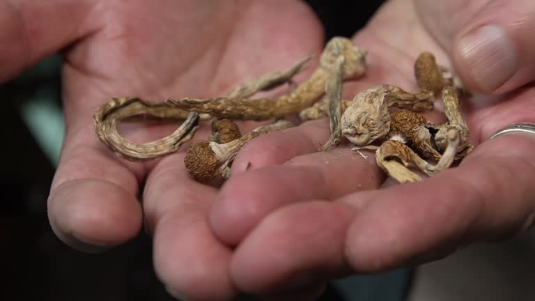 Psychedelic mushrooms dosage