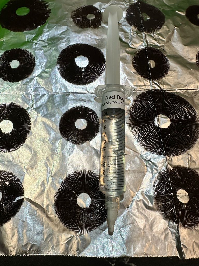 Spore prints vs spore syringes.